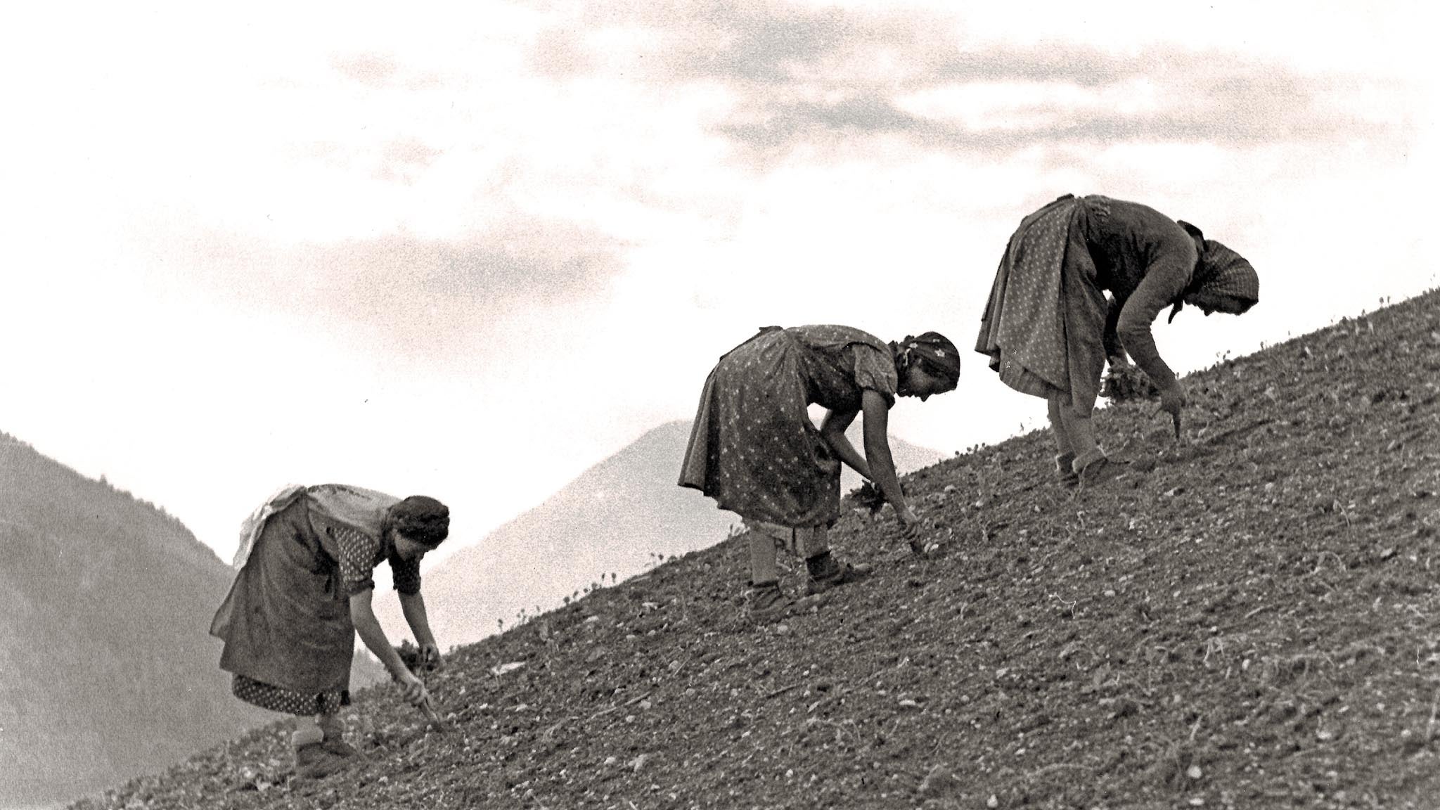 Land- und ForstarbeiterInnen litten früher häufig an Krankheiten der Atemwege, aber vor allem an den Folgen der schweren körperlichen Arbeit.
