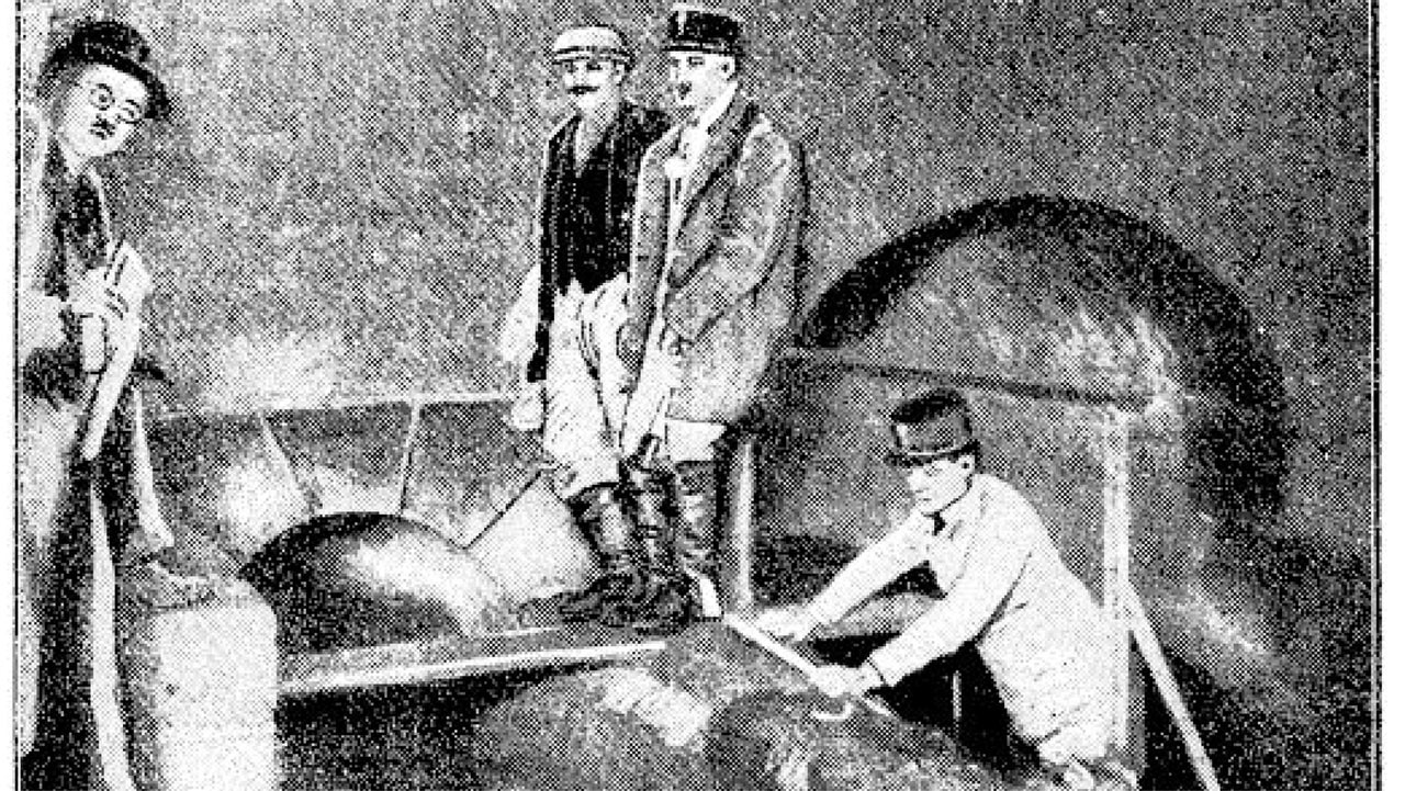 Untersuchung nach einem Leichenfund im Kanal unterhalb des Stadtparks (Wien, 1925)