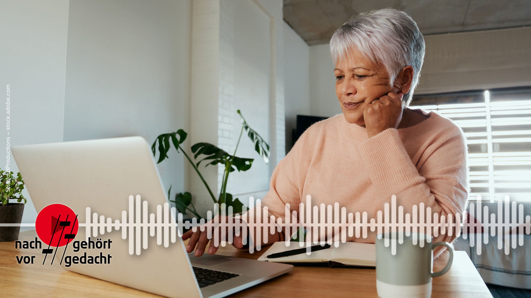 Podcast Pension Gap