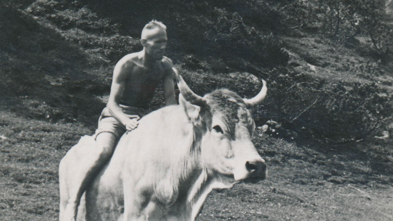 Sepp Filz