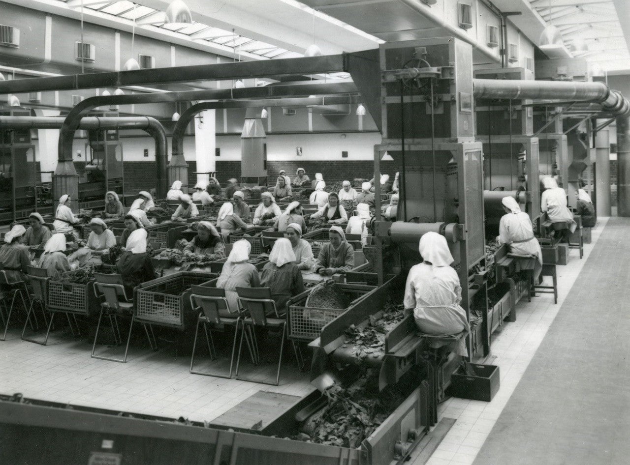 Frauenarbeit in Tabakfabrik