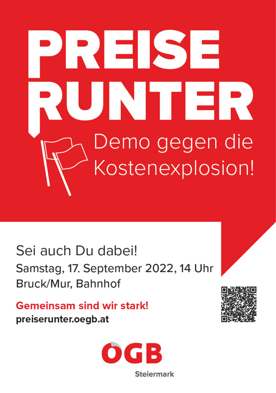 Demo Flyer Steiermark