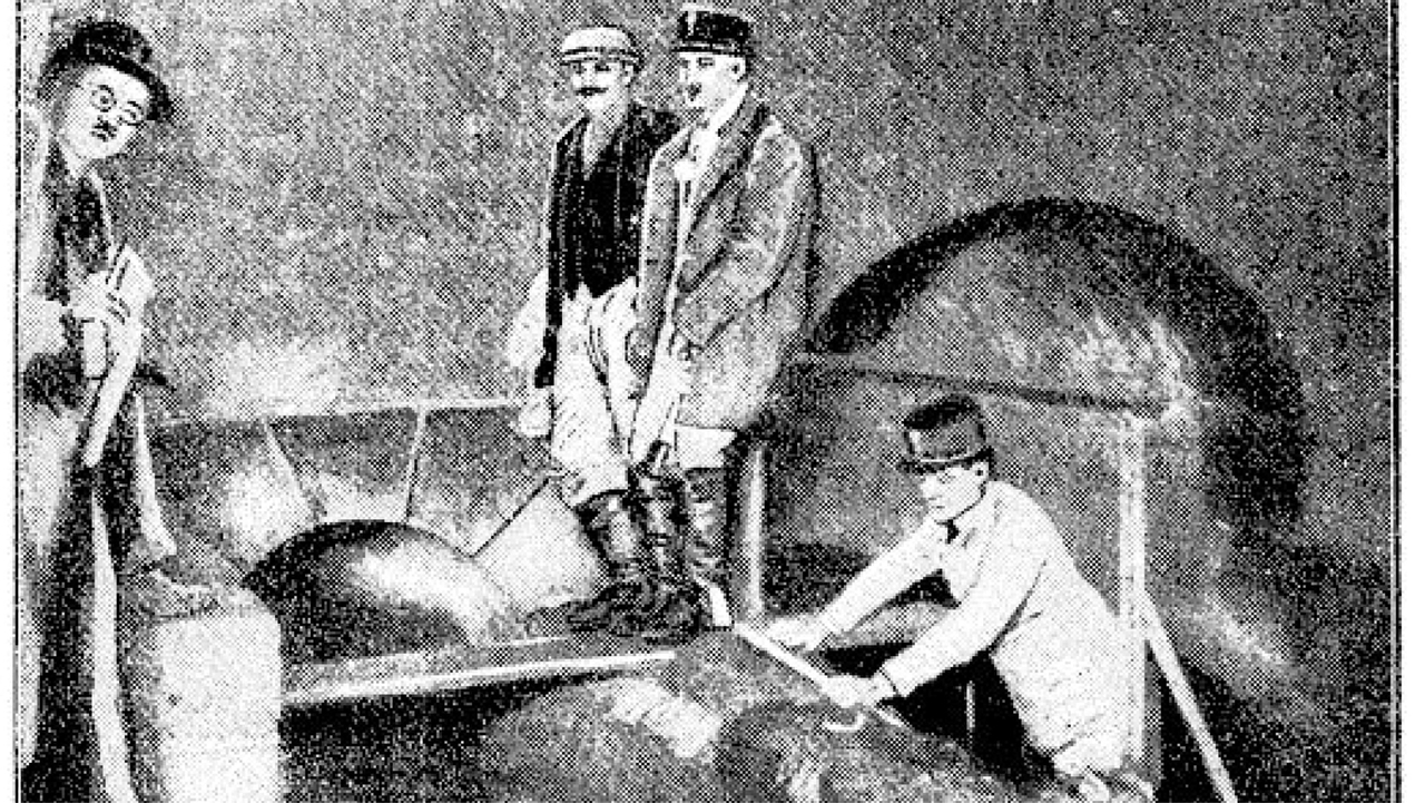 Untersuchung nach einem Leichenfund im Kanal unterhalb des Stadtparks (Wien, 1925) 