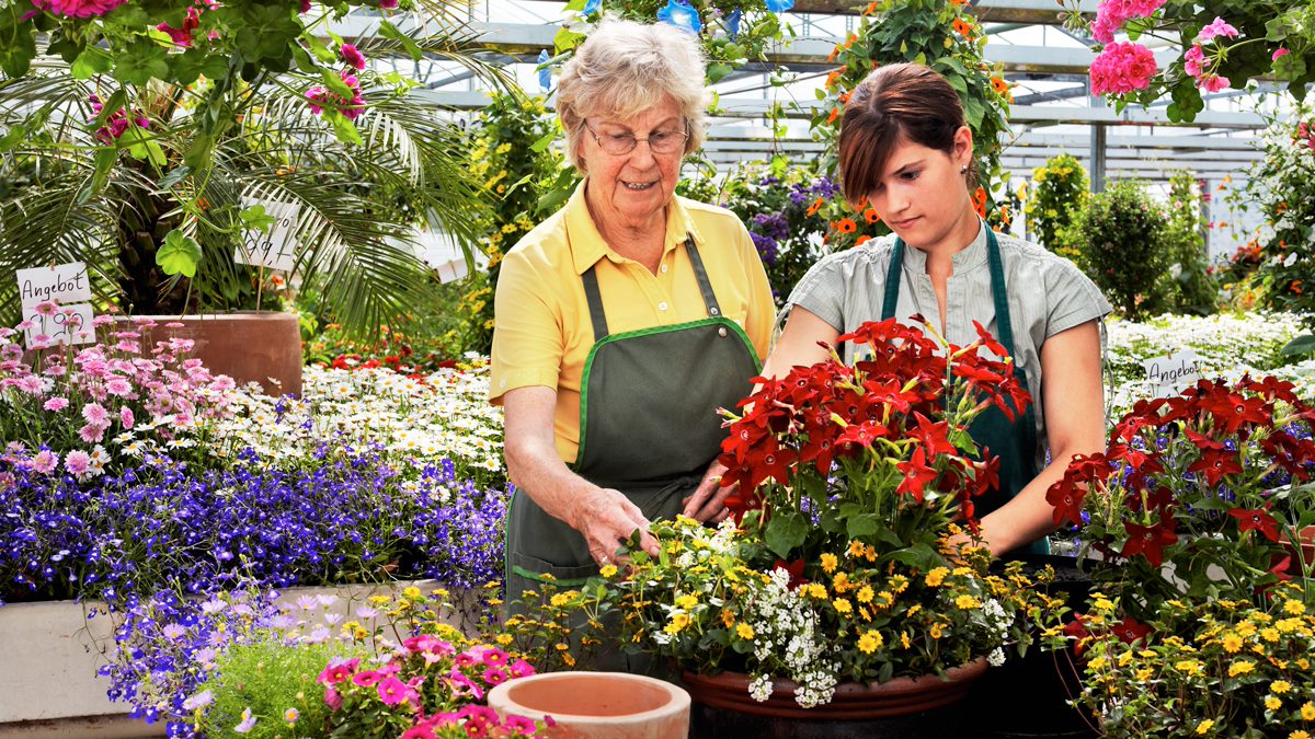 Gärtnerin mit einem weiblichen Lehrling inmitten von Blumen